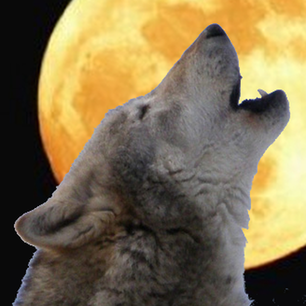 Howling Trigger Howling Trigger
